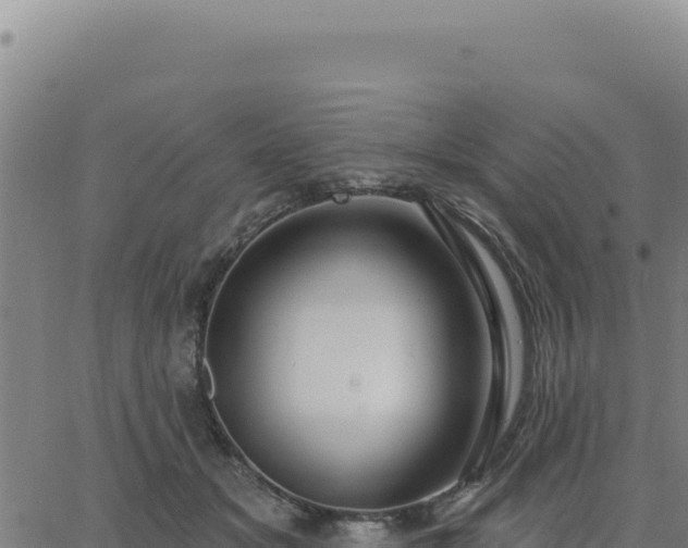 X0000063480509200601271658