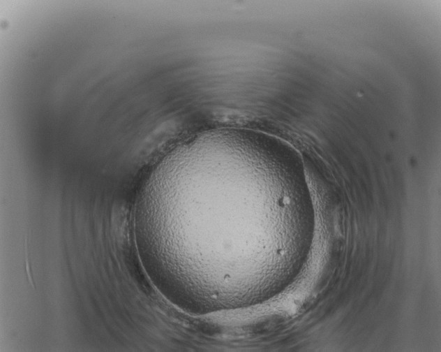 X0000063480511200601271658