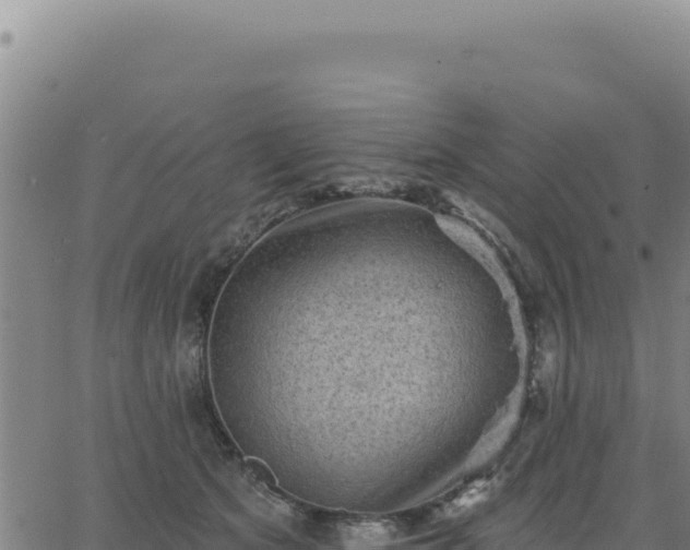 X0000063480513200601271658