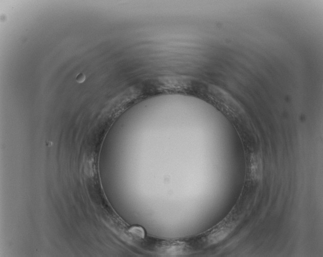 X0000063480514200601271658