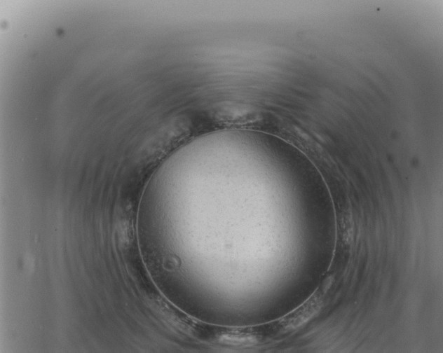 X0000063480515200601271658