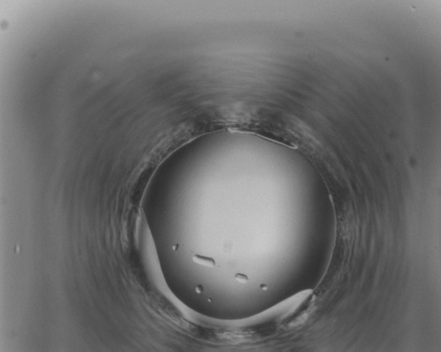 X0000063480516200601271658