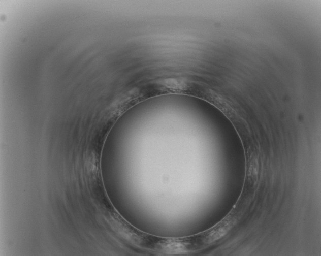 X0000063480518200601271658