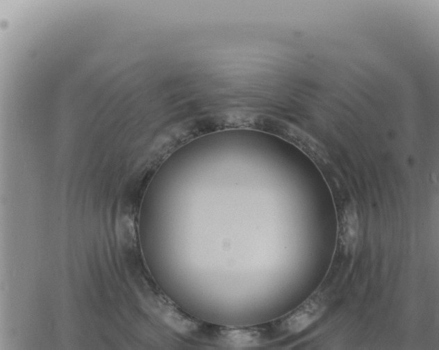 X0000063480522200601271658