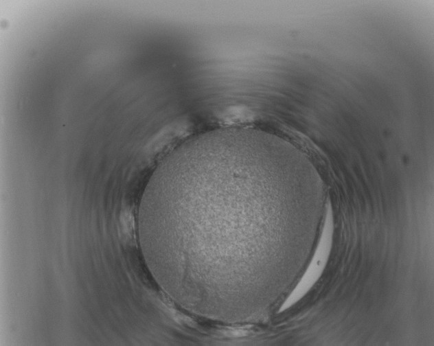 X0000063480523200601271658