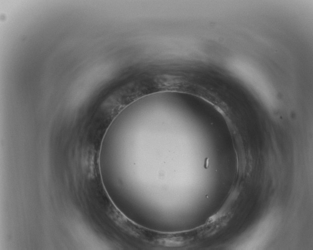 X0000063480525200601271658