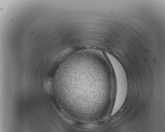 X0000063480527200601271658