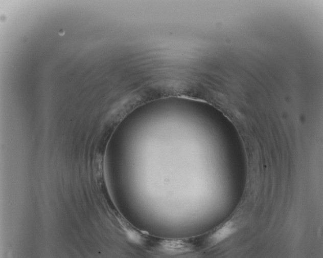 X0000063480528200601271658