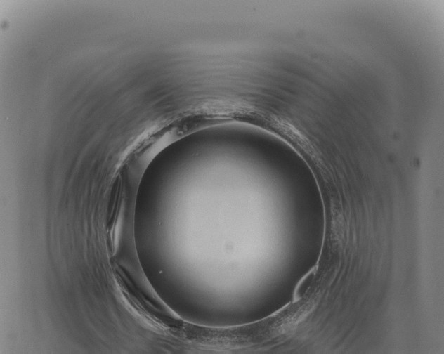 X0000063480530200601271657