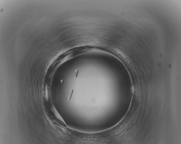 X0000063480532200601271657