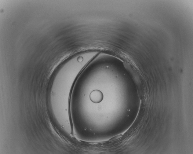 X0000063480534200601271657