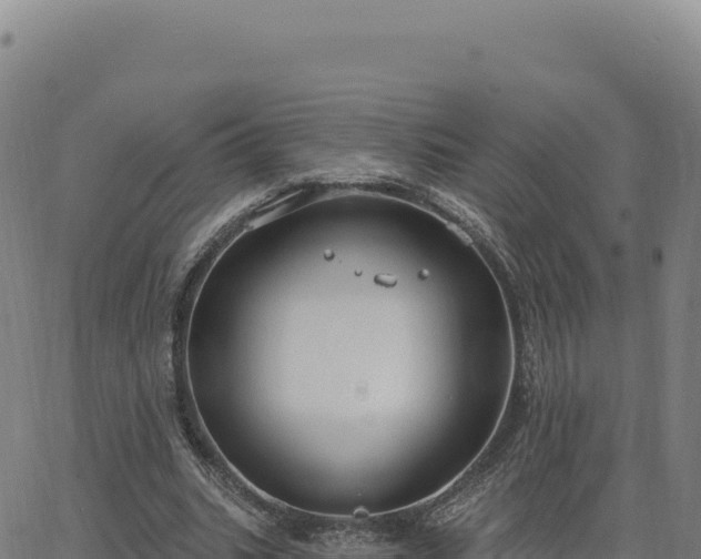 X0000063480535200601271657