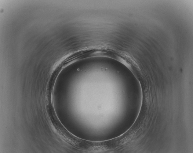 X0000063480536200601271657