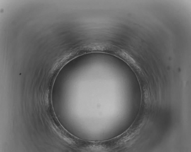 X0000063480537200601271657