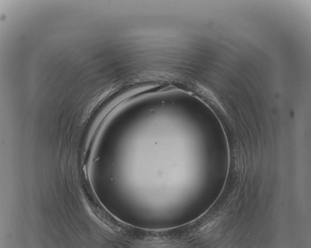 X0000063480538200601271657