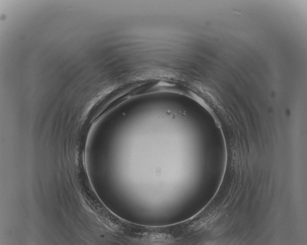 X0000063480539200601271657