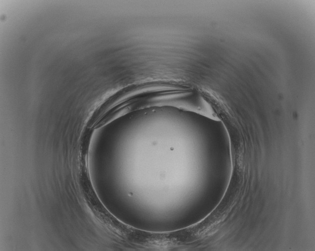 X0000063480540200601271657