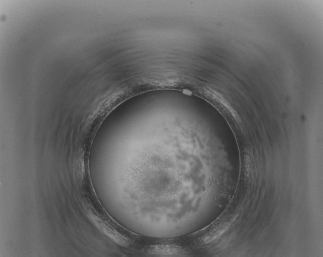 X0000063480541200601271657