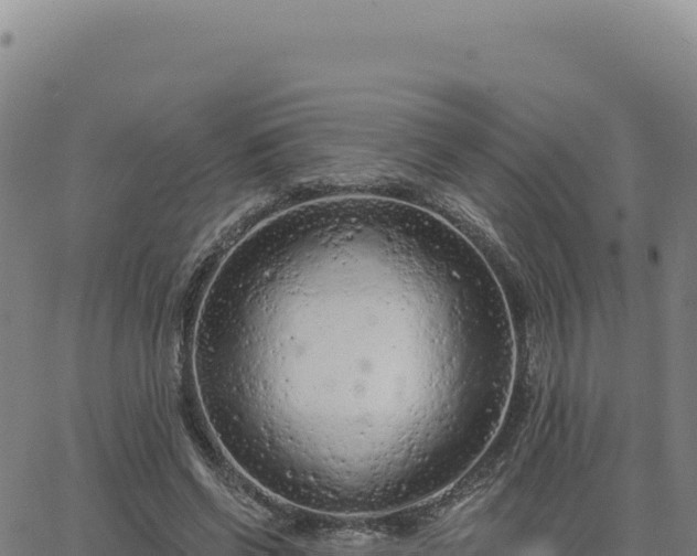 X0000063480542200601271657