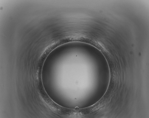 X0000063480543200601271657