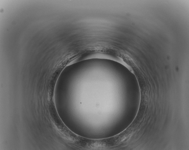 X0000063480546200601271657