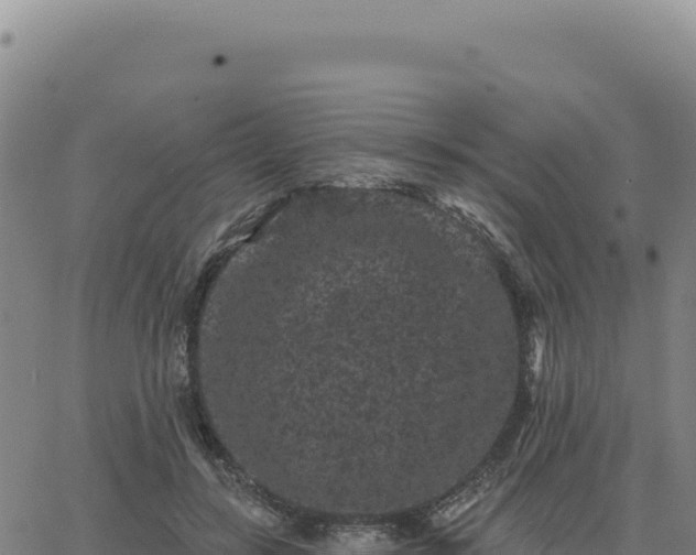 X0000063480547200601271657