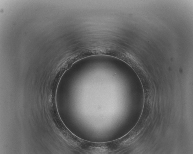 X0000063480548200601271657