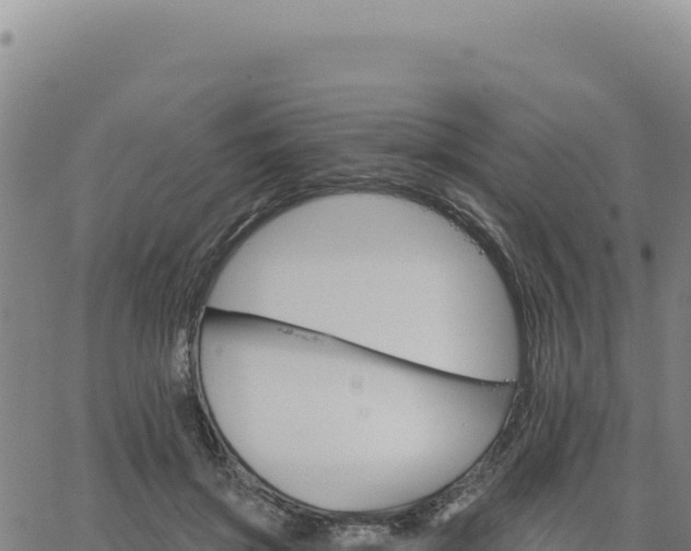 X0000063480549200601271657