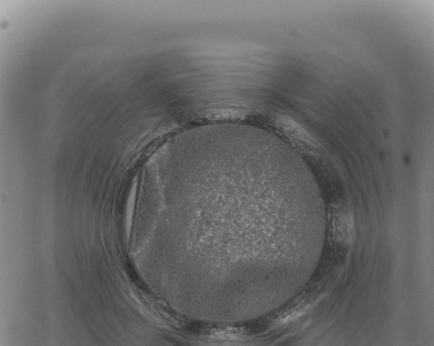 X0000063480550200601271657