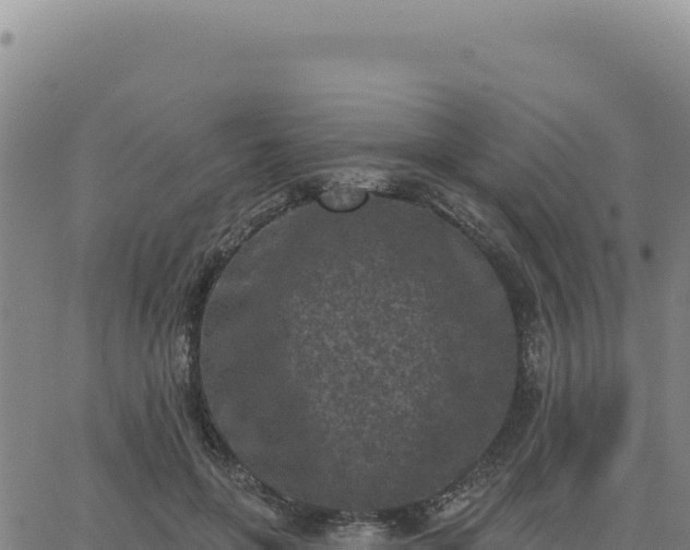 X0000063480551200601271657