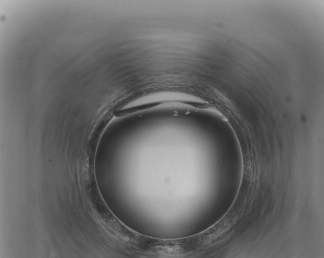 X0000063480552200601271657