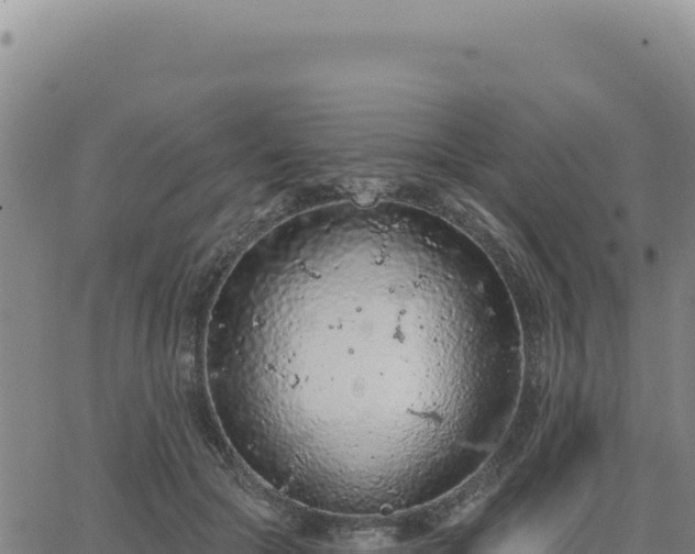 X0000063480553200601271657