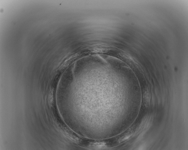 X0000063480554200601271657