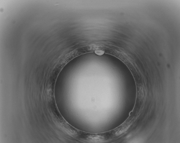 X0000063480557200601271657