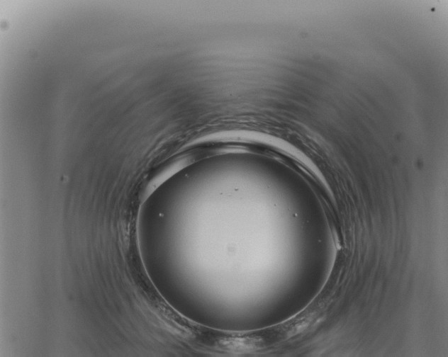 X0000063480558200601271657