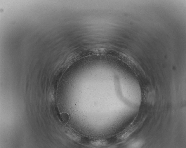 X0000063480561200601271657