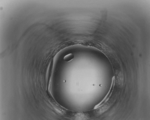 X0000063480562200601271657