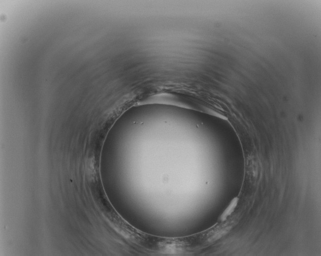 X0000063480564200601271657