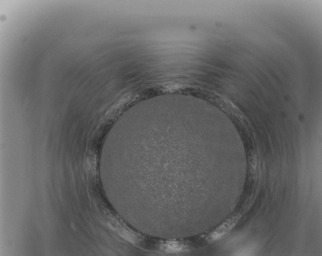 X0000063480565200601271657