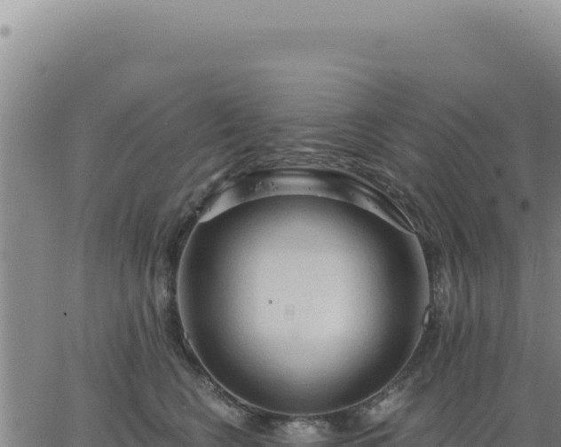 X0000063480566200601271657