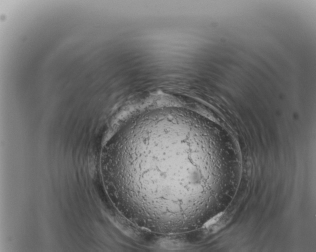 X0000063480568200601271657