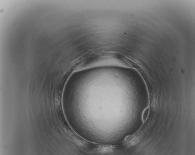 X0000063480569200601271657