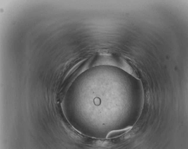 X0000063480570200601271657