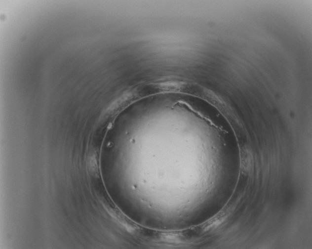 X0000063480573200601271658