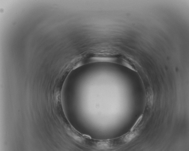 X0000063480574200601271658