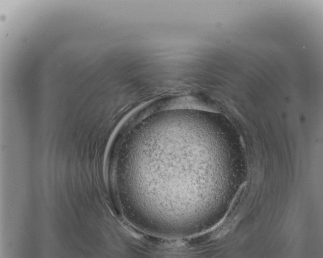 X0000063480576200601271658