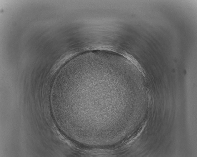 X0000063480577200601271657