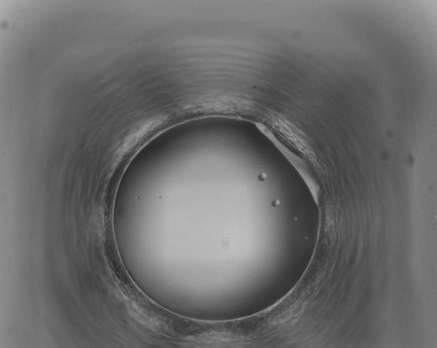 X0000063480578200601271657