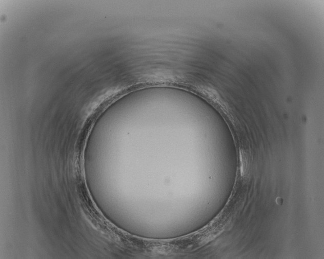 X0000063480579200601271657