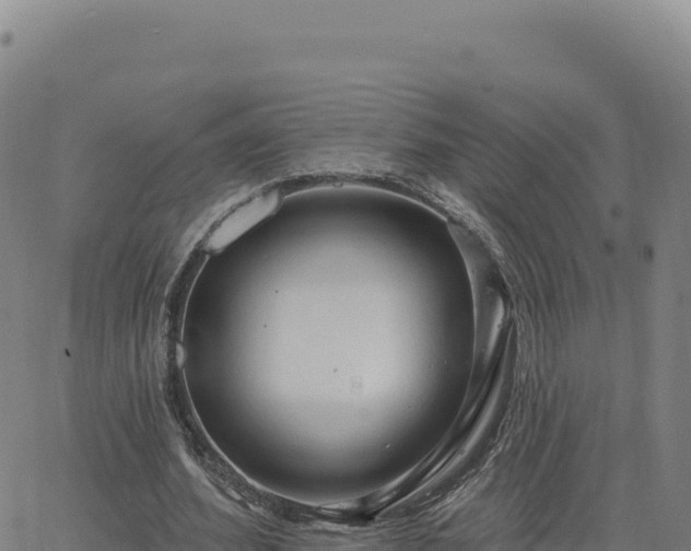 X0000063480580200601271657